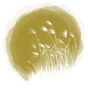 grasses